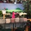 The daisy set is was built just for Episode 14, and is now a regular feature in Fred and Susie's backyard. This set fills much of the new puppet studio!
